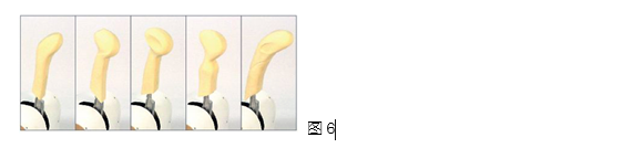 DƬ4.png